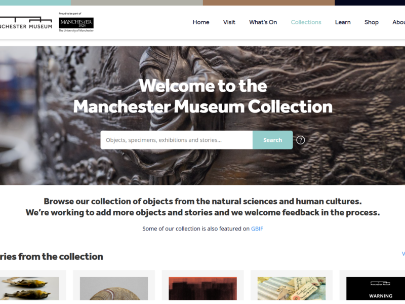 Website homepage of the Manchester Museum Collection with a prominent search box